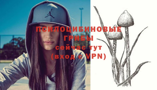 трава Вяземский