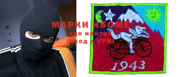 ГАЛЛЮЦИНОГЕННЫЕ ГРИБЫ Вязники